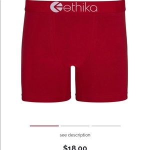 ETHIKA BRIEFS